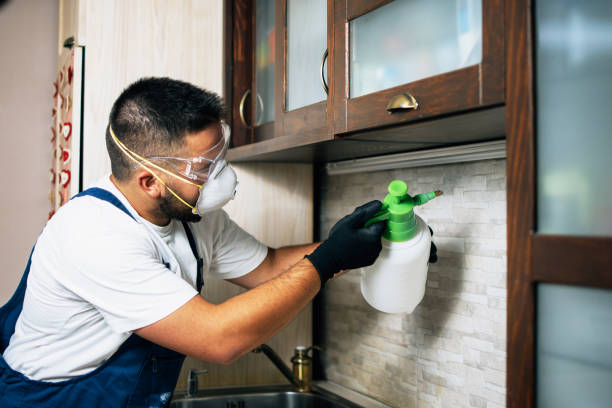 Best Cockroach Control Services  in Carlstadt, NJ