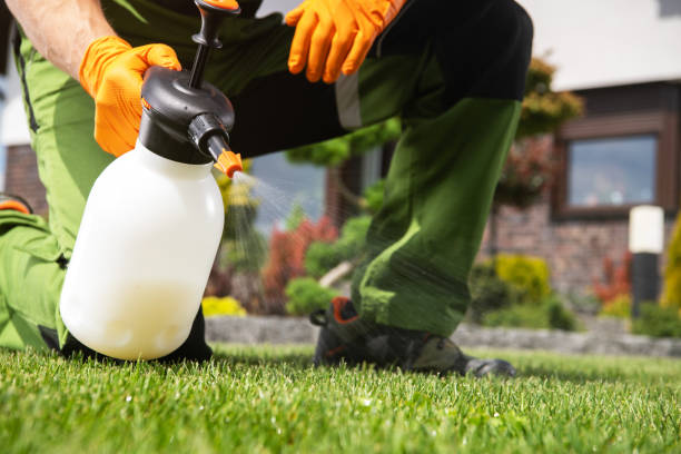Best Exterminator Services  in Carlstadt, NJ