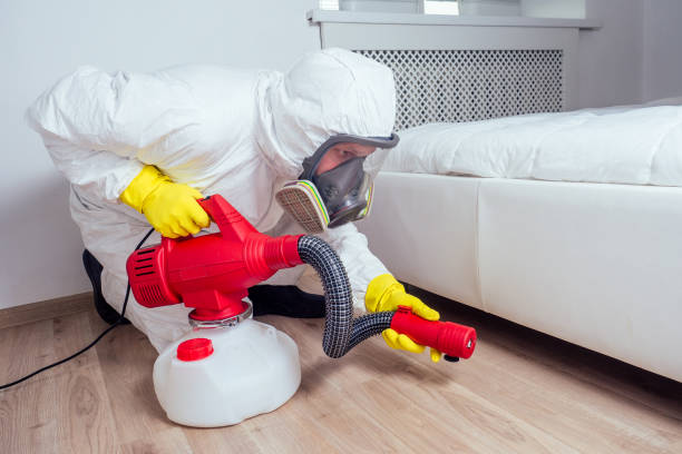 Best Commercial Pest Control Services  in Carlstadt, NJ