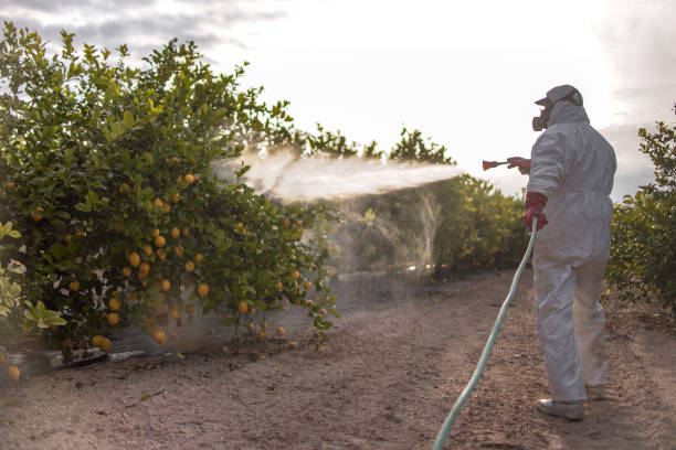 Best Affordable Pest Control Services  in Carlstadt, NJ