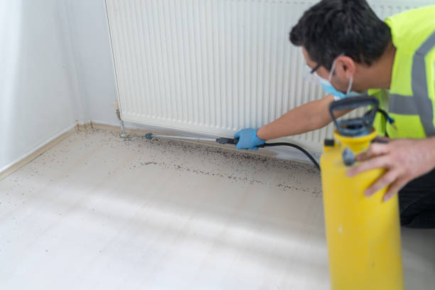 Best Best Pest Control Companies  in Carlstadt, NJ