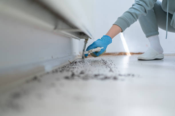 Best Best Pest Control Companies  in Carlstadt, NJ